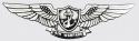 Navy Air Warfare Decal