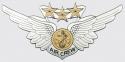 USMC Combat Aircrew Wing Decal