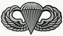 Army Para Wing Decal