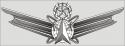 Master Air Force Space Badge Decal