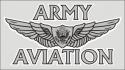 Army Aviation with Aircrew Wing Decal