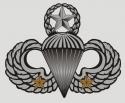 COMBAT JUMP WINGS(TWO JUMP) DECAL