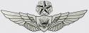 Army Master Aircrew Wing Decal