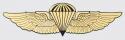 Marine-Navy Jump Wings Decal