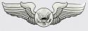 US Air Force Aircrew Wing Decal