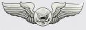 US Air Force Aircrew Wing Decal
