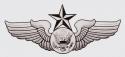 US Air Force Senior Aircrew Enlisted Wing Decal 
