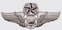 US Air Force Chief Aircrew Enlisted Wing Decal