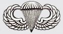 Army Para Wing Basic Decal