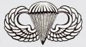 Army Para Wing Basic Decal Army Para Wing Basic Decal