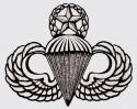 Army Para Wing Master Decal