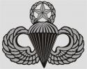 Army Para Wing Basic Decal