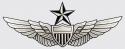Army Senior Aviator Wing Decal