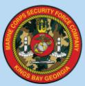 MARINE CORPS SECURITY COMPANY KINGS BAY GEORGIA DECAL