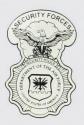 Air Force Security Forces Shield Decal