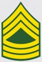US Army E-8 Master SGT Decal
