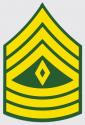 US Army E-8 1st SGT Decal