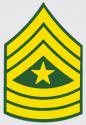 US Army E-9 SGM Decal