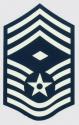 USAF E-9 Chief 1st SGT Decal 