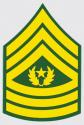 US Army E-9 CSM Decal