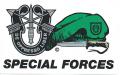 U.S. Army Special Forces Airborne Decal