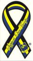 Army 502d ABN Infantry Support Our Troops Ribbon Airborne Decal