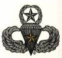 Airborne Parachutist Master with One Combat Star Decal (Large)