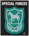  Special Forces 10th Group Trojan Horse Decal 