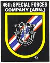 Special Forces 46th Group Decal