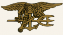 Navy SEAL Team Trident Decal