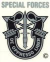 Special Forces Crest Decal