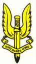 Special Air Service Cap Badge  Decal