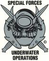 Special Forces Underwater Operations Decal