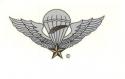 South Vietnamese Master Airborne Badge Decal (Vietnam)