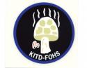  Special Forces Son Tay Raid KITD/FOHS Decal (Vietnam)