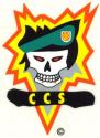 Special Forces MACVSOG CCS Decal (Vietnam)