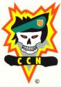  Special Forces MACVSOG CCN Decal (Vietnam)