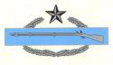 Combat Infantry Badge 2nd Award Decal (Small)