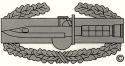Combat Action Badge Decal (Small)