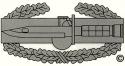 Combat Action Badge Decal (Small)