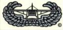  Airborne Glider Badge Decal (Small)
