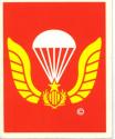 South Vietnamese Beret Badge Decal (Vietnam)