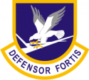 Air Force Defensor Fortis Decal