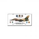 F-16C Fighting Fulcrum License Plate
