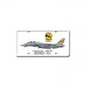F-14D Super Tomcat License Plate