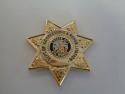 California Department of Corrections and Rehabilitation Pin  1-1/4"