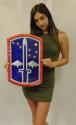 172nd Infantry Brigade  Metal Sign 13 x 9"