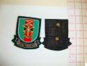Special Forces Association Bullion Pocket Patch 
