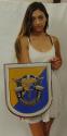 8th Special Forces (SF) Group Airborne all metal Sign  15 x 18"