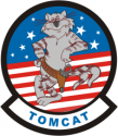 F-14 Tomcat Decal